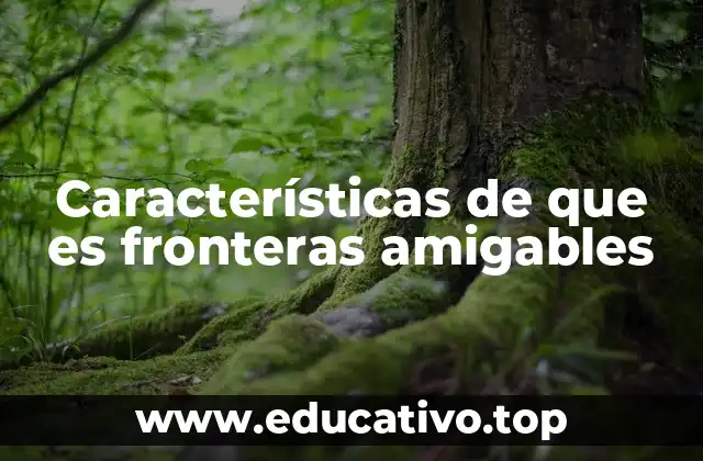Características de que es fronteras amigables