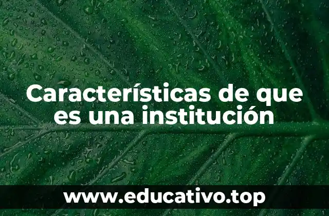 Características de que es una institución