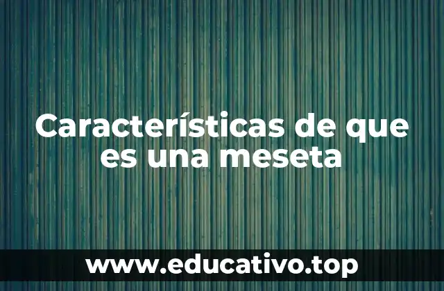Características de que es una meseta