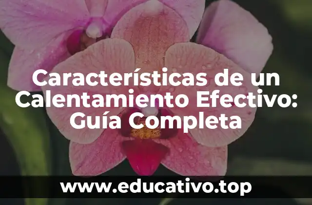 Características de un Calentamiento Efectivo: Guía Completa