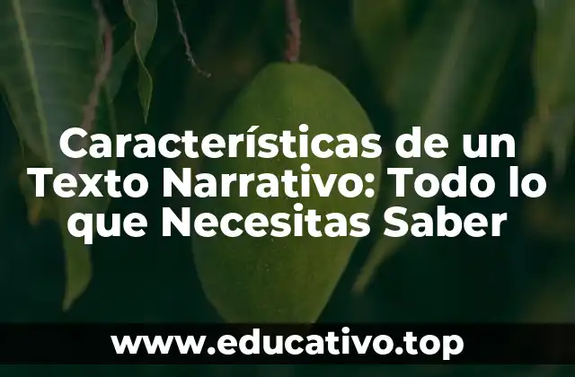 Características de un Texto Narrativo: Todo lo que Necesitas Saber