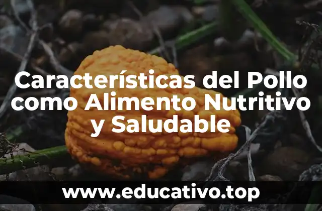 Características del Pollo como Alimento Nutritivo y Saludable