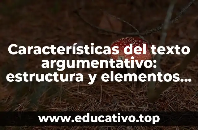 Características del texto argumentativo: estructura y elementos clave
