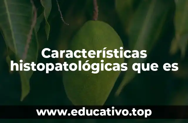 Características histopatológicas que es