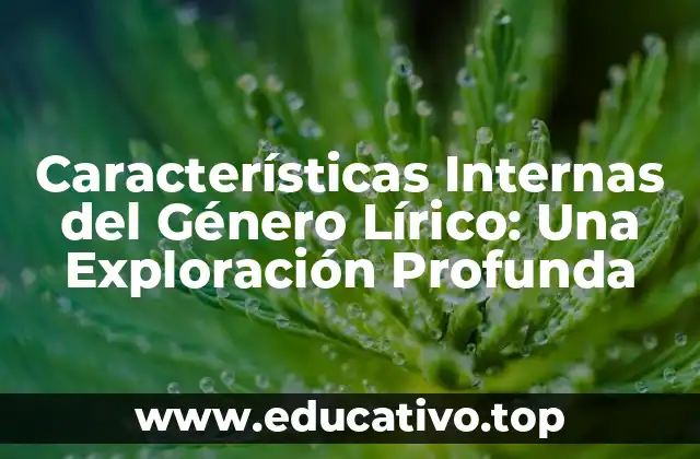 Características Internas del Género Lírico: Una Exploración Profunda