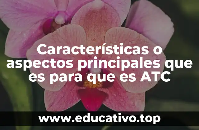 La importancia del ATC en la integración regional