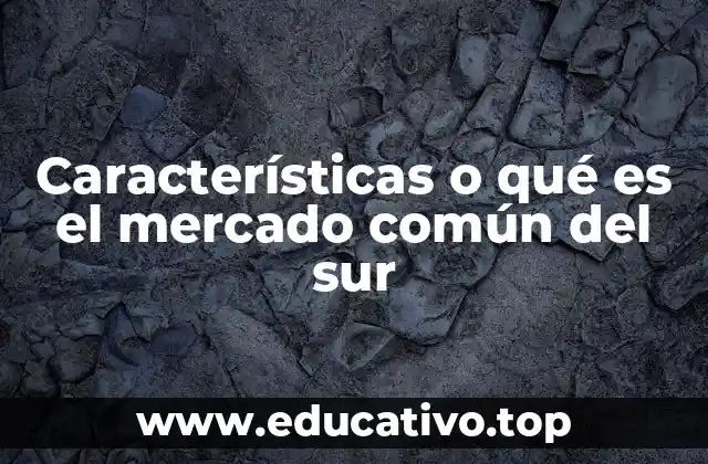 Características o qué es el mercado común del sur