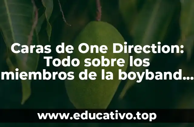 Caras de One Direction: Todo sobre los miembros de la boyband británica