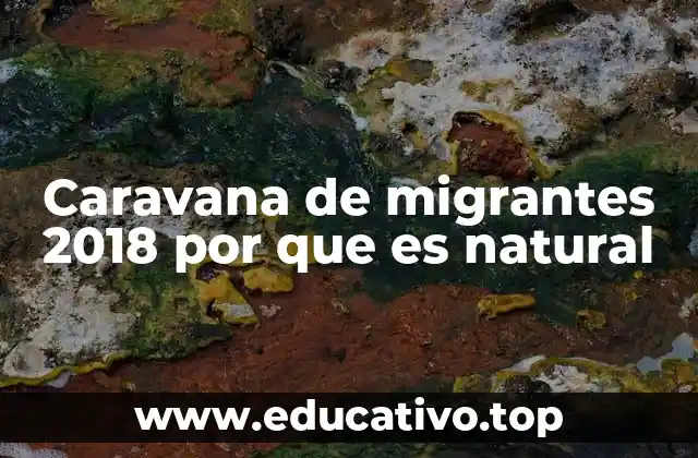 El contexto socioeconómico detrás del fenómeno