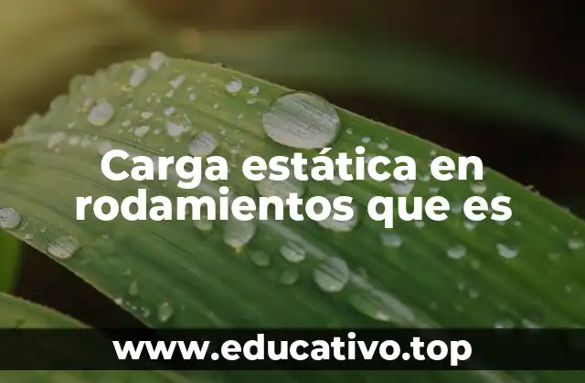 Carga estática en rodamientos que es