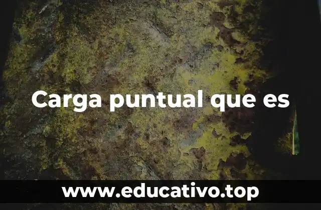 Carga puntual que es