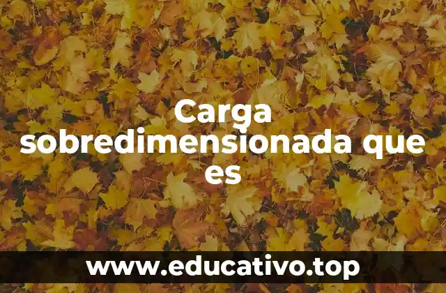 Carga sobredimensionada que es