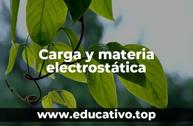 Carga y materia electrostática