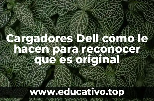 Cargadores Dell cómo le hacen para reconocer que es original