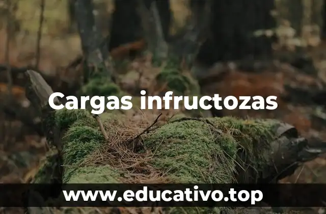 Cargas infructozas