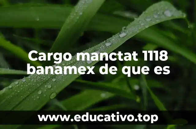 Cargo manctat 1118 banamex de que es
