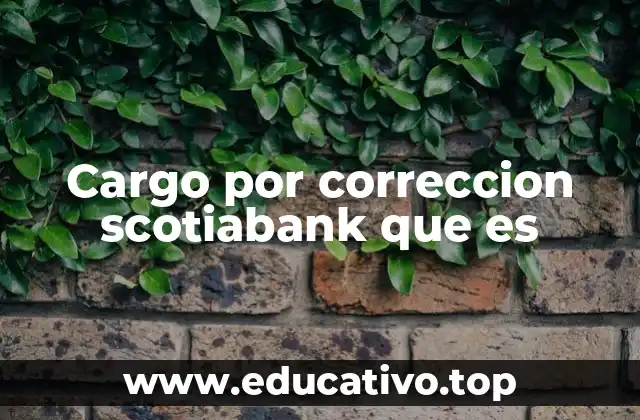 Cargo por correccion scotiabank que es
