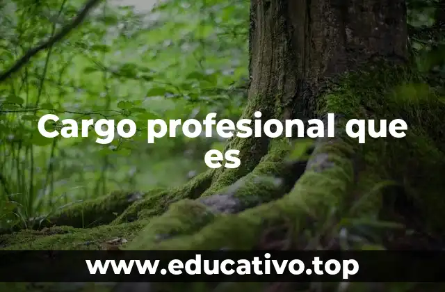 Cargo profesional que es
