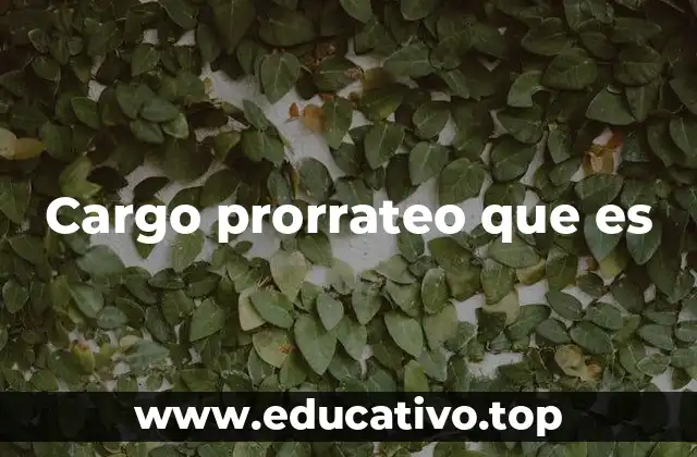 Cargo prorrateo que es