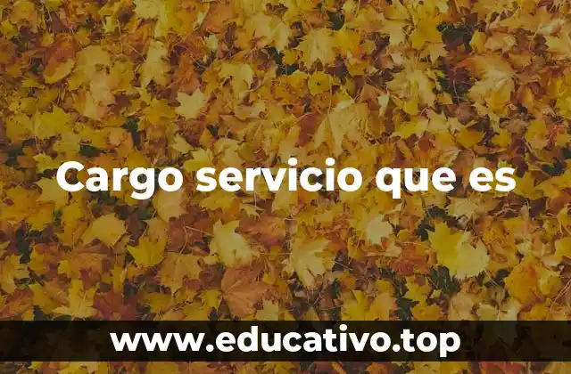 Cargo servicio que es