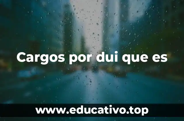 Cargos por dui que es