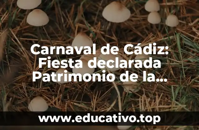 Carnaval de Cádiz: Fiesta declarada Patrimonio de la Humanidad