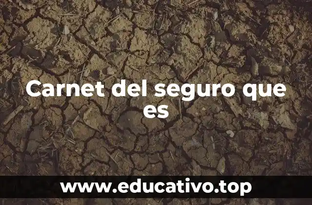 Carnet del seguro que es