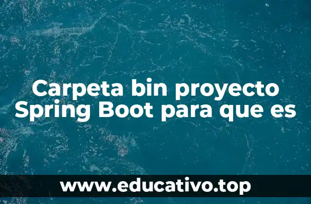 Carpeta bin proyecto Spring Boot para que es