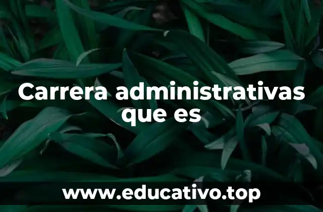 Carrera administrativas que es