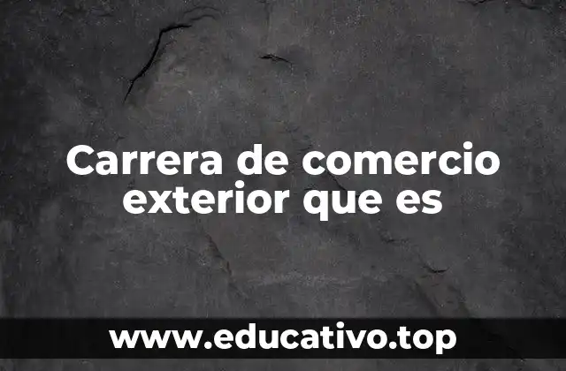 Carrera de comercio exterior que es