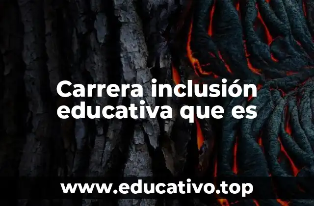 Carrera inclusión educativa que es