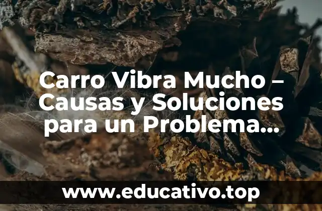 Carro Vibra Mucho – Causas y Soluciones para un Problema Común