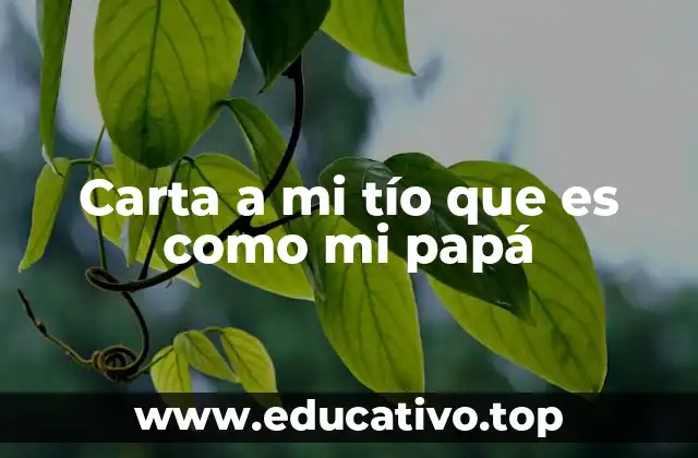 Carta a mi tío que es como mi papá