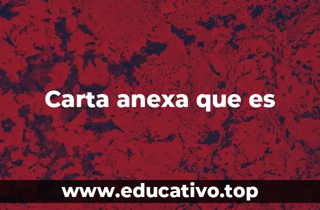 Carta anexa que es