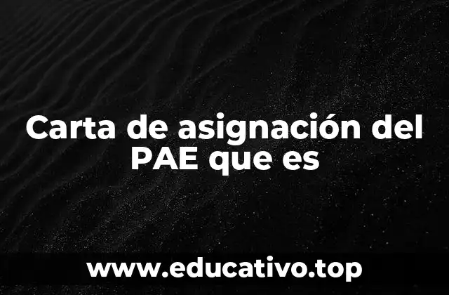 Carta de asignación del PAE que es