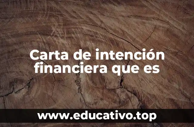 Carta de intención financiera que es