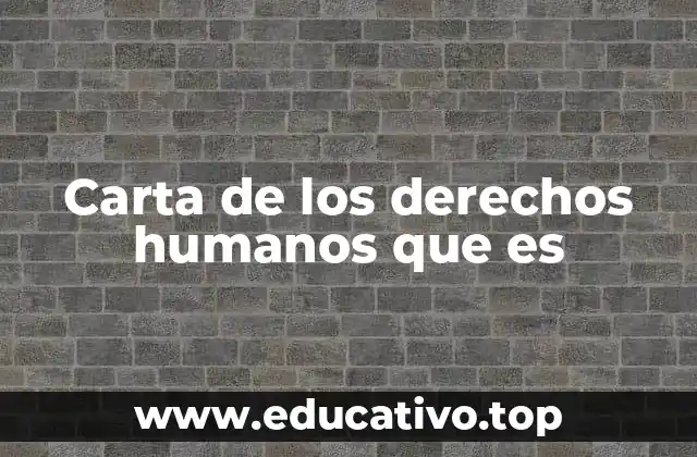 Carta de los derechos humanos que es