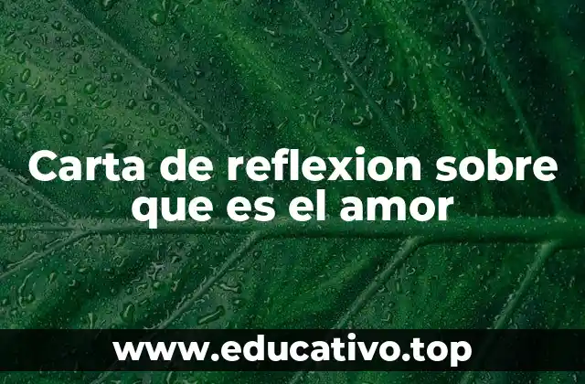 Carta de reflexion sobre que es el amor