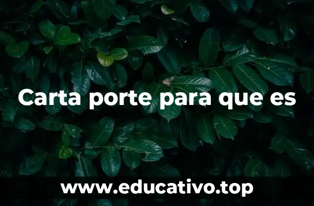 Carta porte para que es