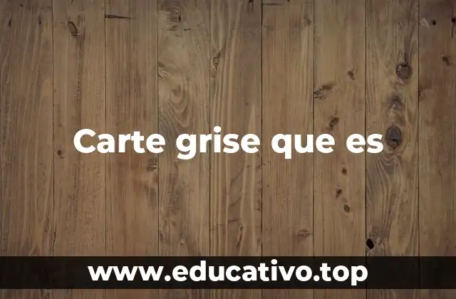 Carte grise que es