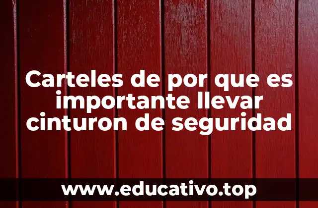 Carteles de por que es importante llevar cinturon de seguridad