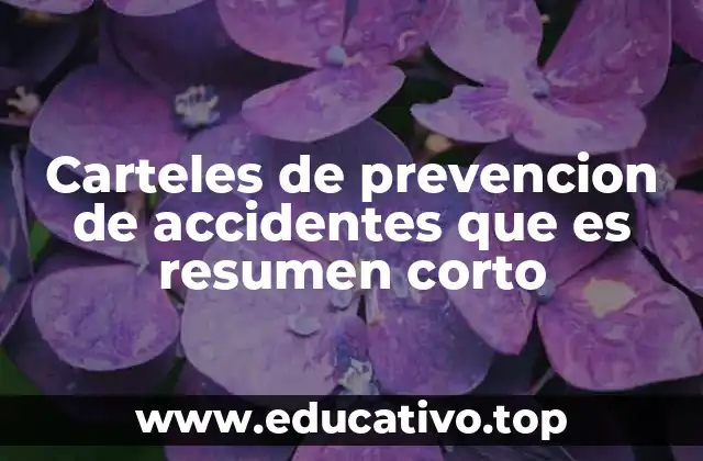 Carteles de prevencion de accidentes que es resumen corto