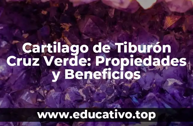 Cartilago de Tiburón Cruz Verde: Propiedades y Beneficios