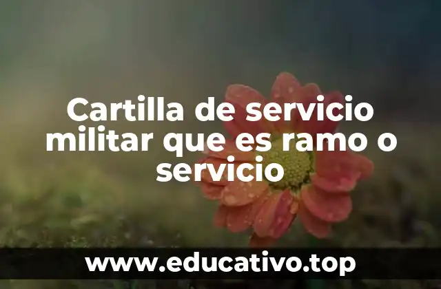 Cartilla de servicio militar que es ramo o servicio
