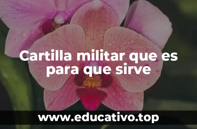 Cartilla militar que es para que sirve
