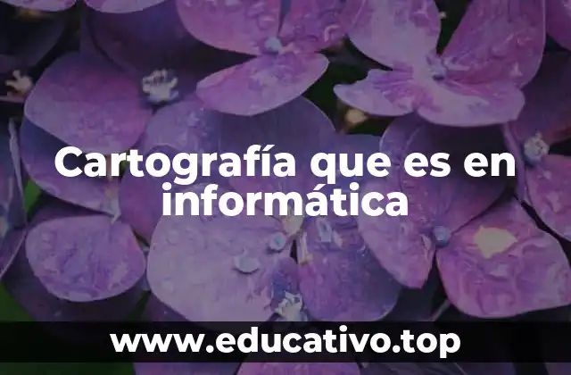 Cartografía que es en informática