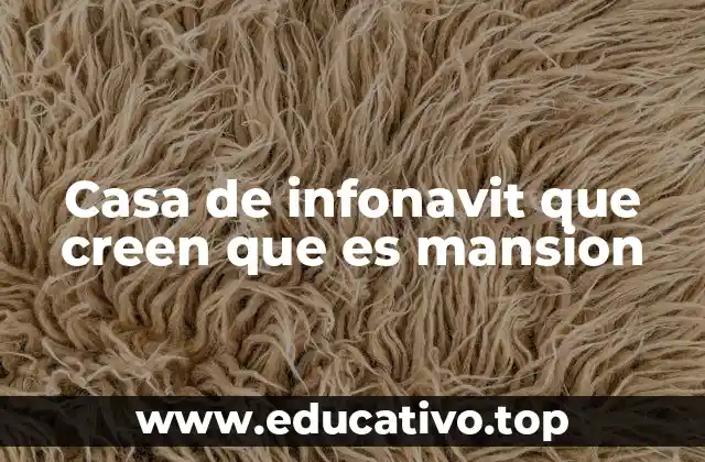Casa de infonavit que creen que es mansion