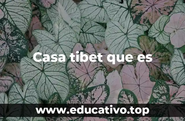 Casa tibet que es