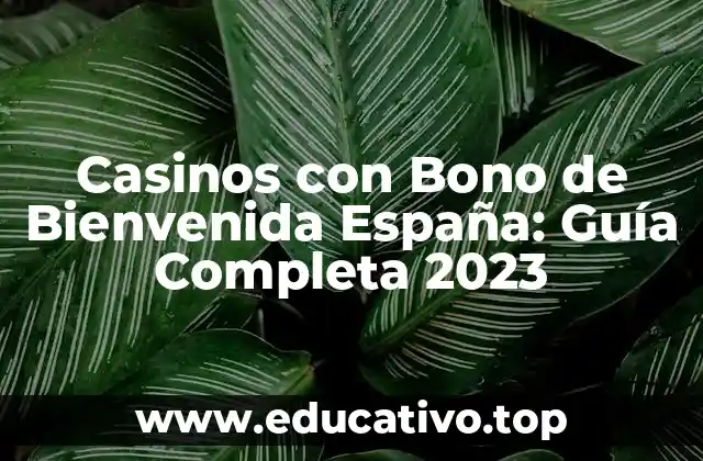 Casinos con Bono de Bienvenida España: Guía Completa 2023