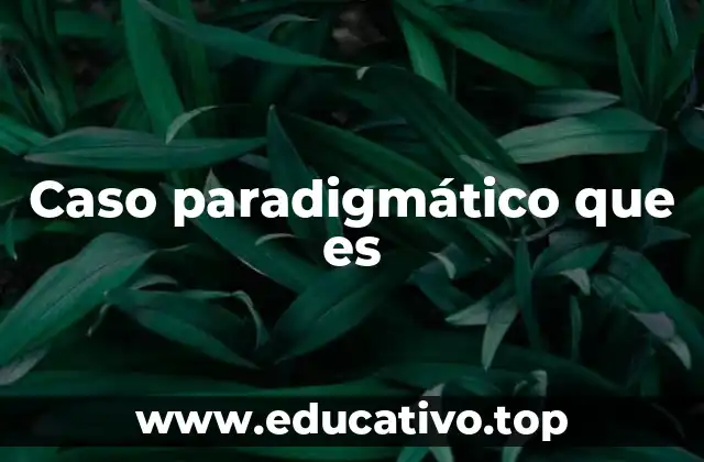 Caso paradigmático que es